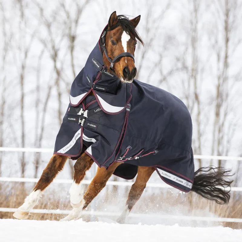 LeMieux Kudos 200g Turnout Rug - Navy